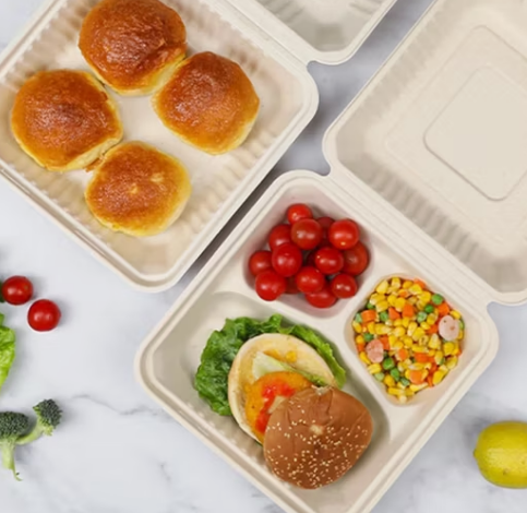 Apakah wadah makanan plastik dengan segel silikon kedap udara menawarkan pengawetan makanan yang lebih baik dibandingkan wadah yang seluruhnya terbuat dari plastik?